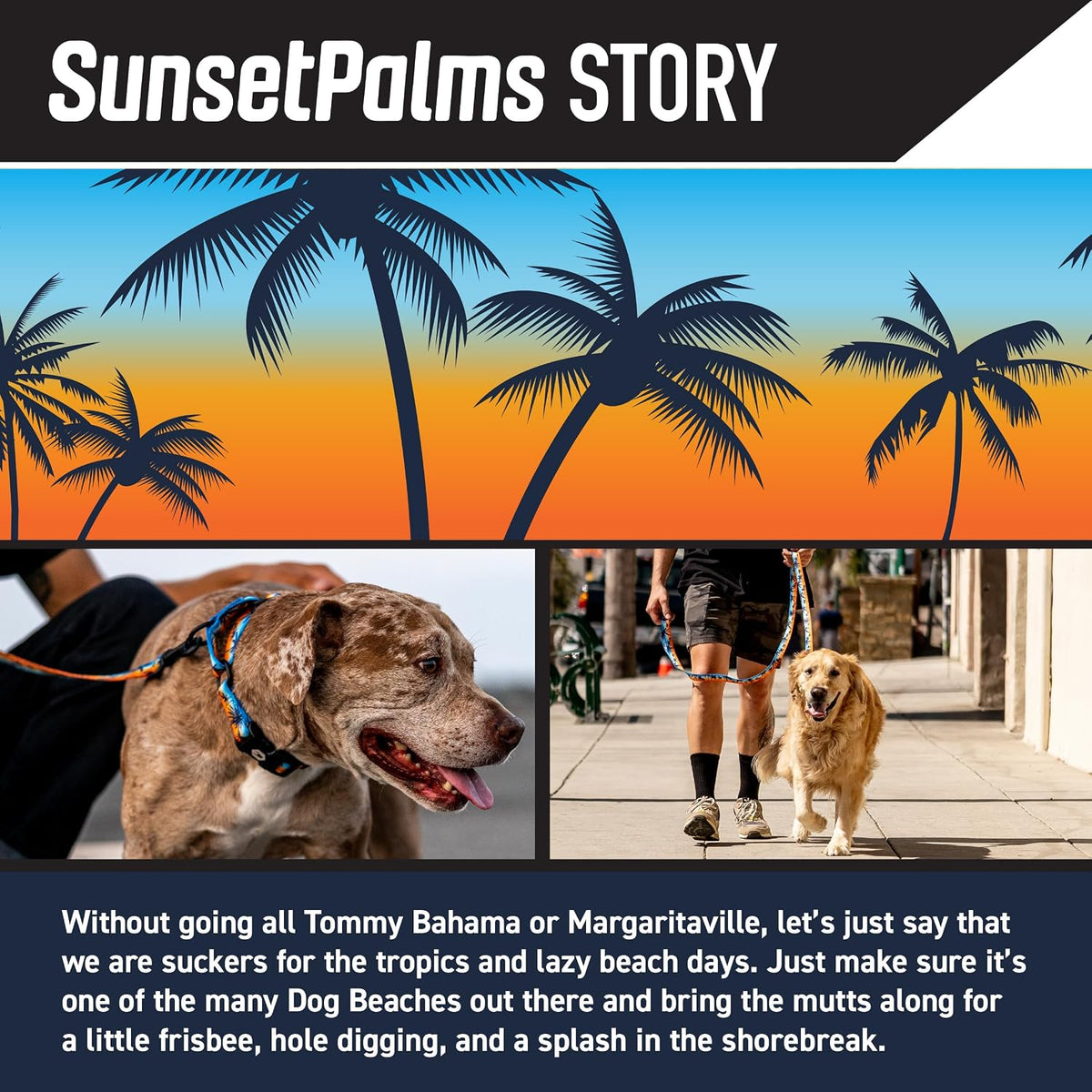 Wolfgang Heavy Duty, Adjustable Dog Collar with Quick Release Nylon Buckle for Walking & Training - Medium (1 Inch x 12-18 Inch) / SunsetPalms Print - image 2
