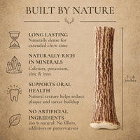 WhiteTail Naturals 12 Pack Whole Deer Antlers for Petite Dogs Up - 2X-Large (Pack of 2) - image 2