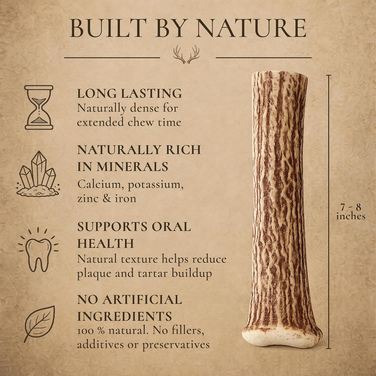WhiteTail Naturals 12 Pack Whole Deer Antlers for Petite Dogs Up - 2X-Large (Pack of 2) - image 2
