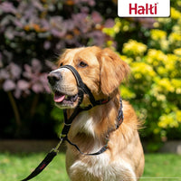 Halti Headcollar & Training Leash Bundle – Essentials for Dogs - Size 5 Head Collar - image 3