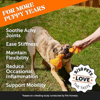 Hemp Hip & Joint Supplement for Dogs - Hemp Oil & Powder - Glucosamine Chondroitin for Dogs, Turmeric, MSM, Green-Lipped Mussel, Supports Mobility, May Reduce Discomfort (Bacon)