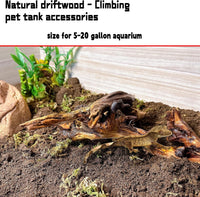Aquarium Driftwood 3PCS Natural Trunk Driftwood Assorted Branches - Mopani driftwood 3.5-7in 5PCS - image 4