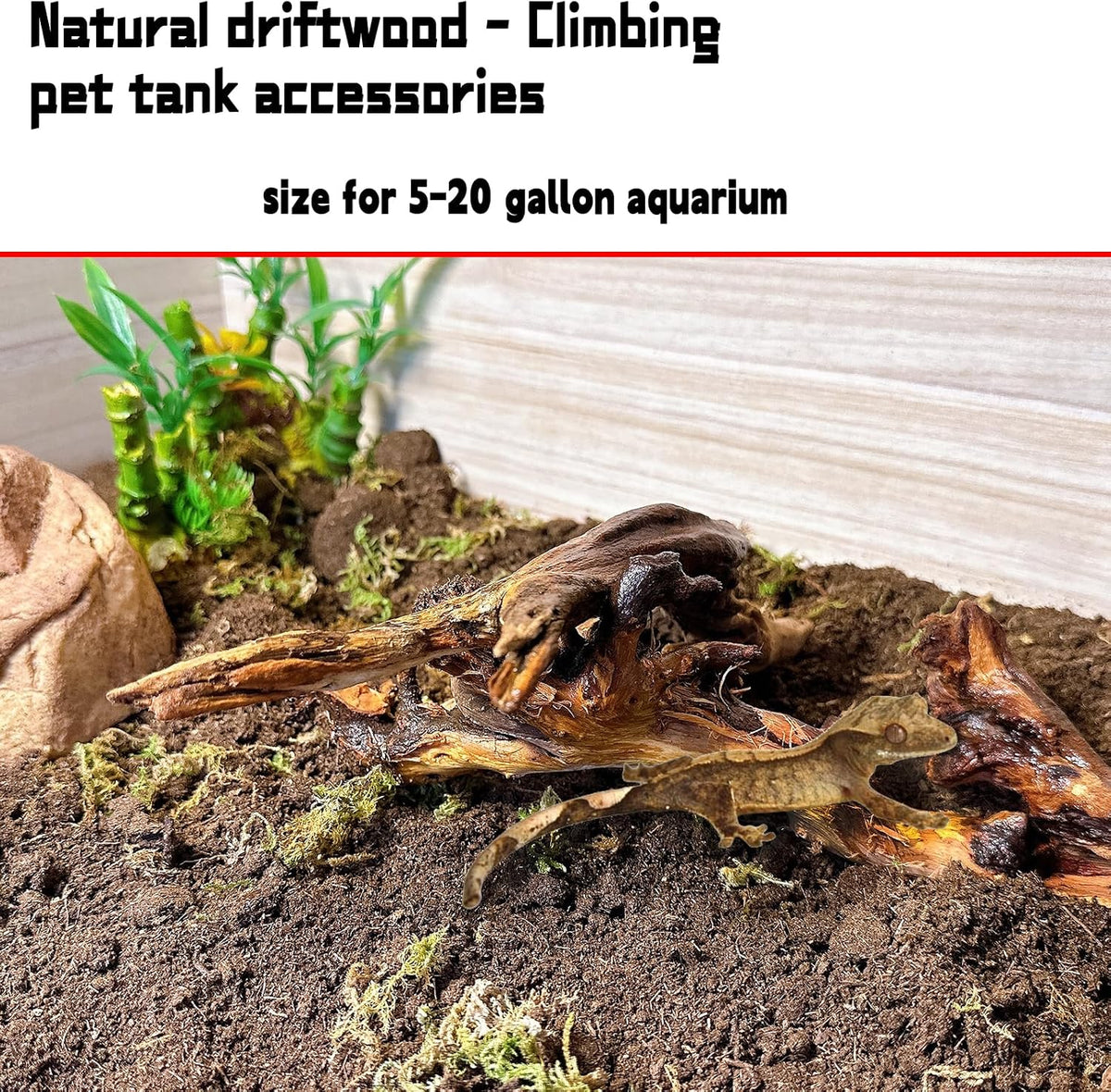 Aquarium Driftwood 3PCS Natural Trunk Driftwood Assorted Branches - Mopani driftwood 3.5-7in 5PCS - image 4
