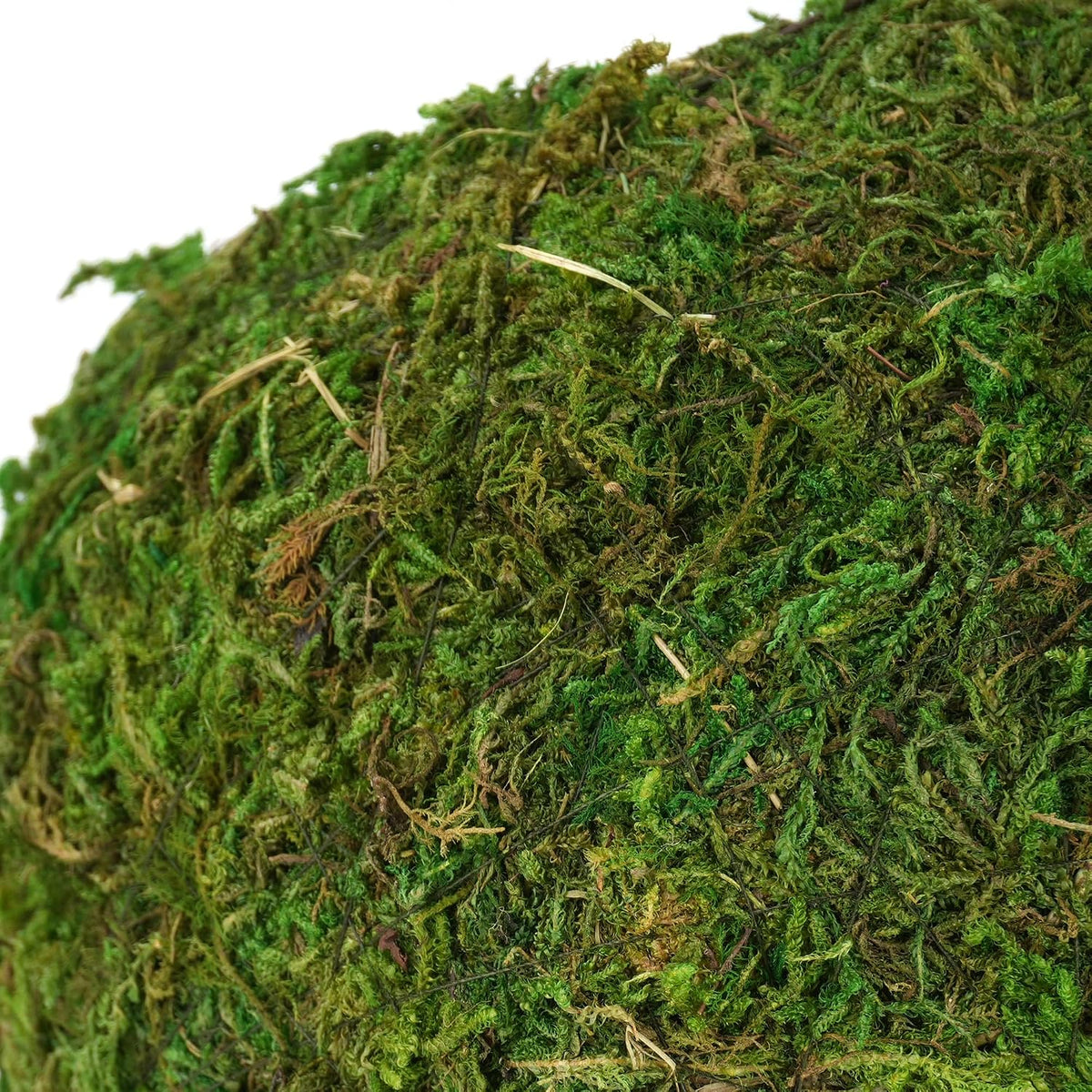 USMOLA Mossy Caves, Artificial Green Moss Caves Hide for Pet Reptile Frogs and Snakes, Terrarium - 4" - Woodland Green - image 4