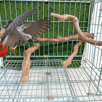 Allazone 4-Piece Bird Perch - Natural Grapevine Stick Swing Chewing Toys for Parrot Cages, Cockatiels, Parakeets, Finches