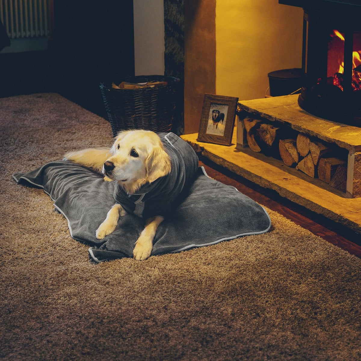Lucky Pooch Dog Robe, Luxurious Dog Bathrobe - M / Grey - image 3