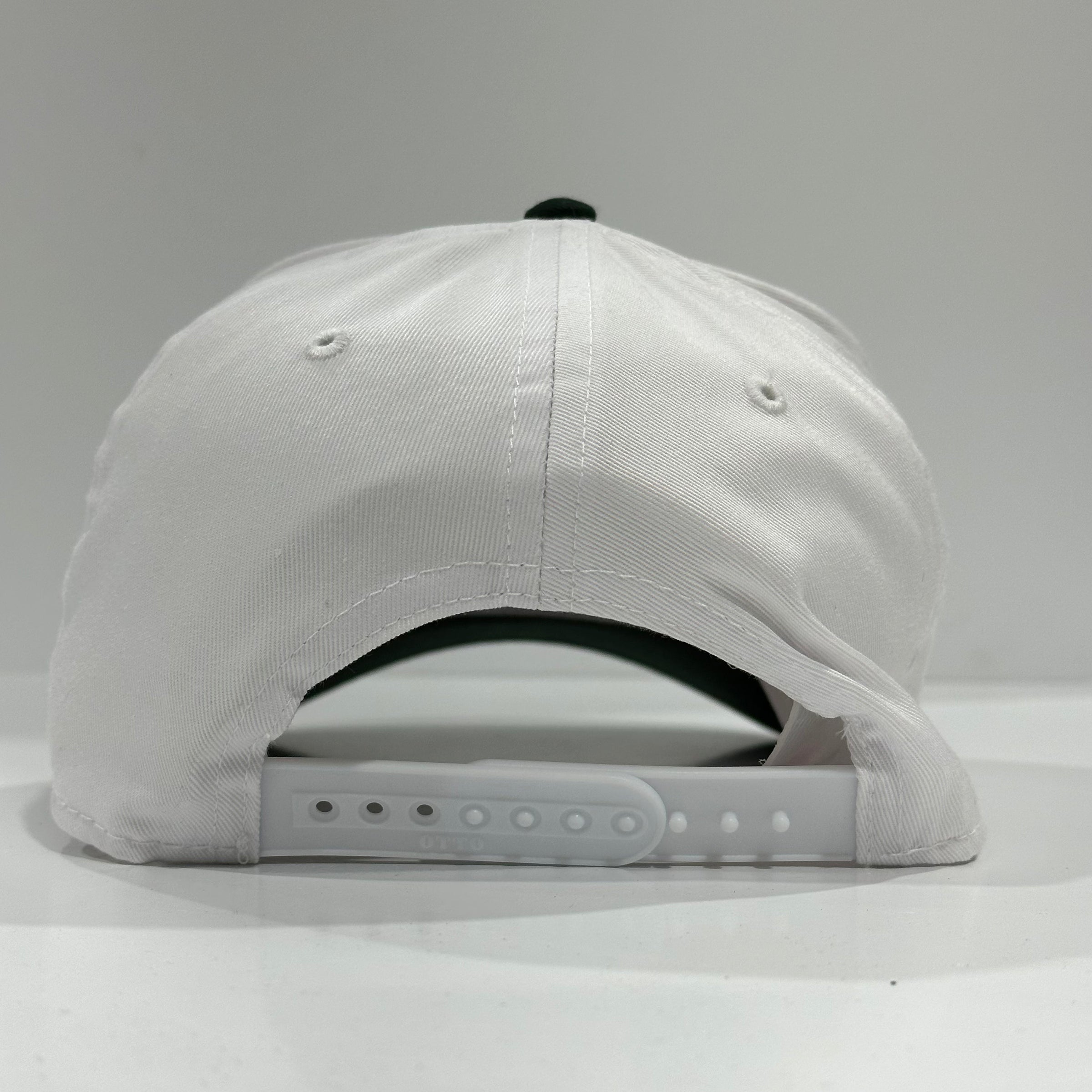 I drink like a fish custom embroidered green/white snapback cap hat