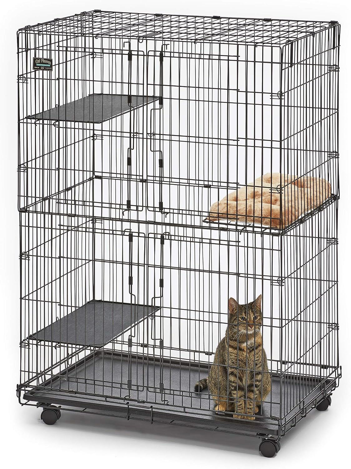 MidWest Homes for Pets Folding Metal Indoor Cat Playpen - Satin Black E-Coat / 36.0"L x 23.5"W x 50.5"H