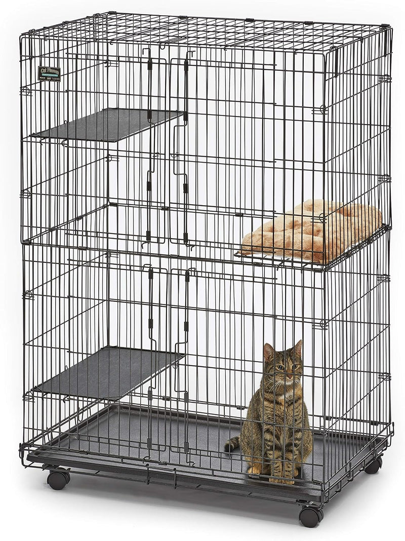 MidWest Homes for Pets Folding Metal Indoor Cat Playpen - Satin Black E-Coat / 36.0"L x 23.5"W x 50.5"H
