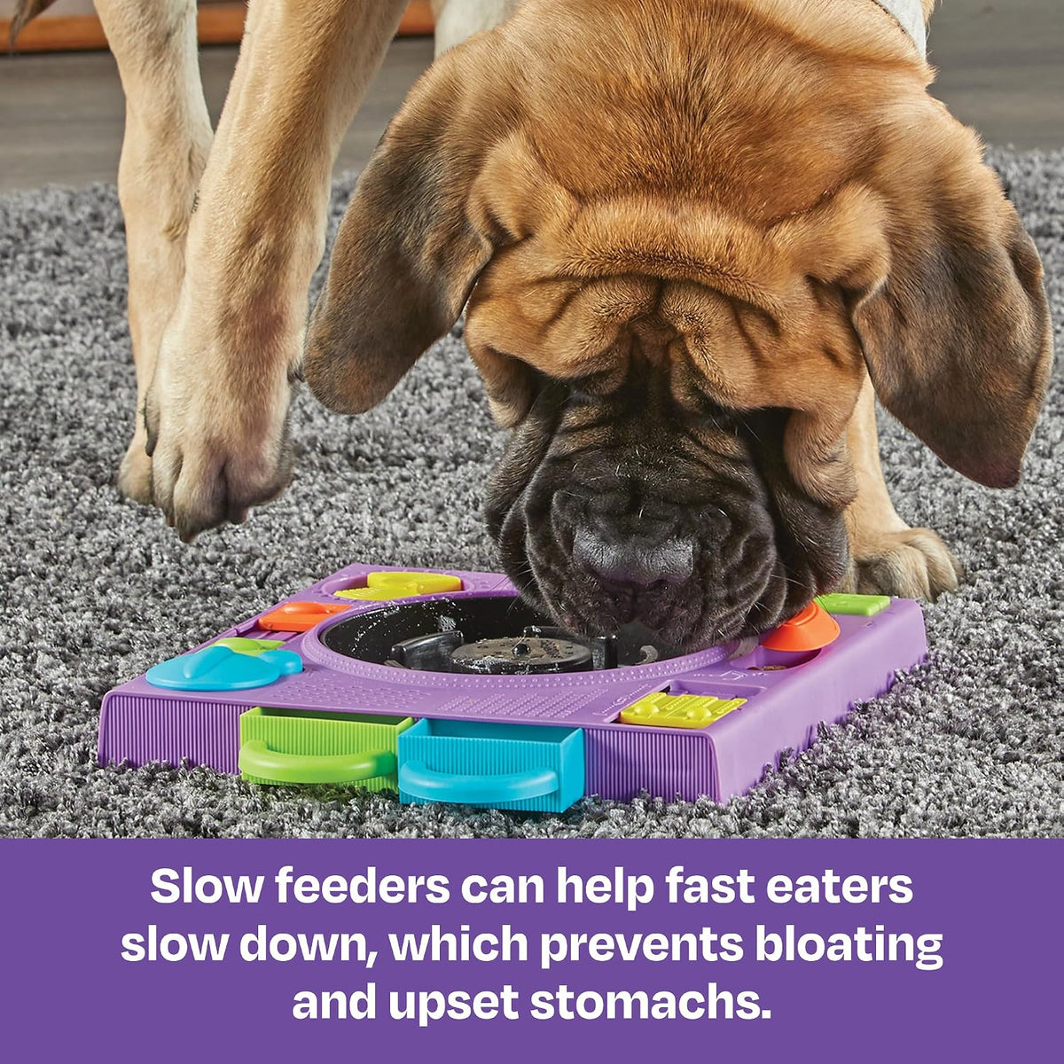 Learning Resources Brightkins DJ Doggo Puzzle Feeder – Essentials for Dogs - image 4