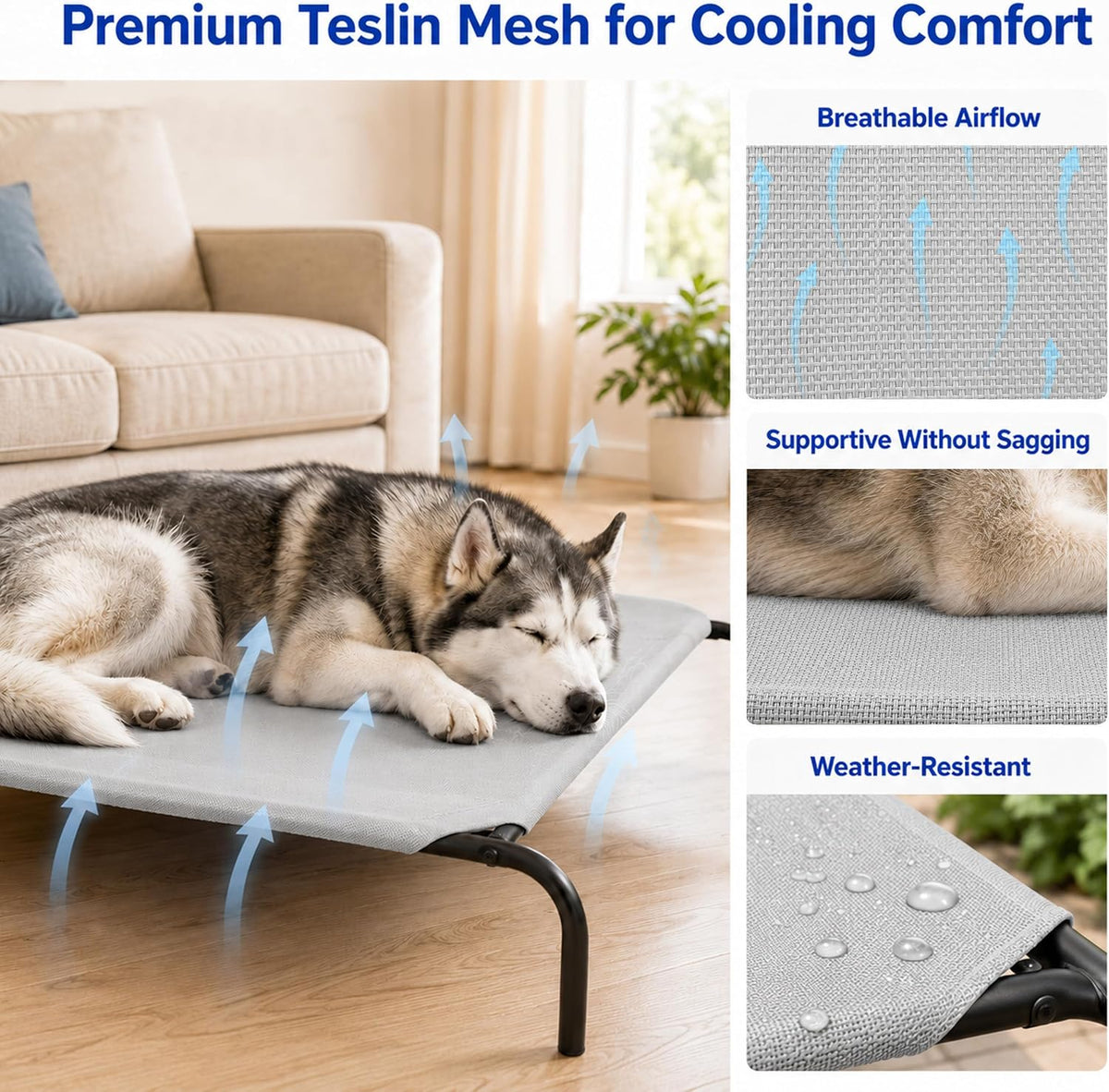 Raised Pet Cot for Small Pets – Essentials for Dogs - Large / Grey - image 3