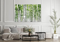 Nature Wall Art Prints - Ocean Forest Mountain Lake Canvas Landscapes - Small to Extra Large Living Room Bedroom Kitchen Bathroom Décor (Green Brich Trees, 24L" x 36W")