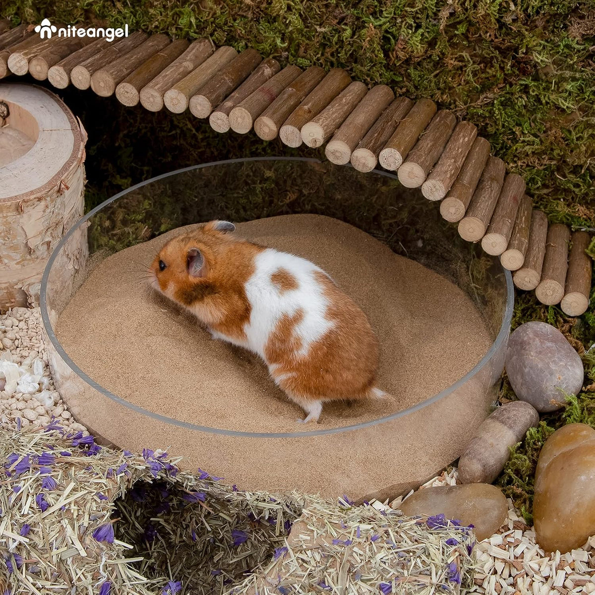 Niteangel Hamster Desert Bath Sand: 2.5lb/40oz No-Dust Bath & Easy - 12LB/192oz / Desert Sand - image 3