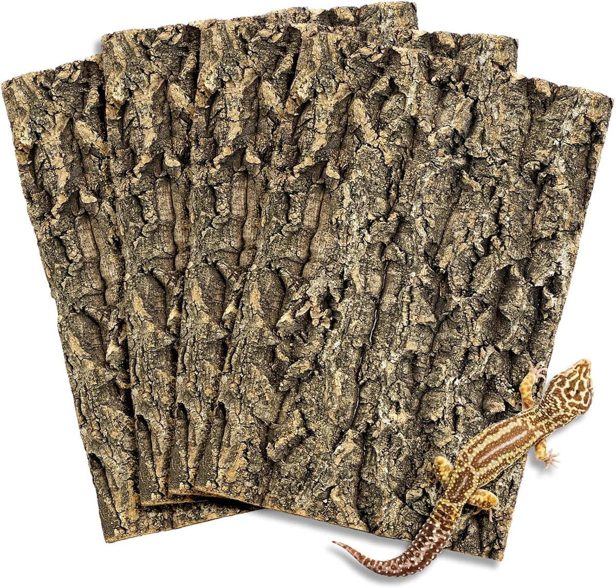 2 PCS Cork Bark Background - 4 PCS：11.6"L x 7.7"W