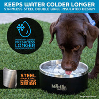 Master Pet Supply Stainless Steel Dog Bowls 128 oz Heavy Duty Aqua Sky – Essentials for Dogs - Aqua Sky / 4 Cups (32 oz) - image 4