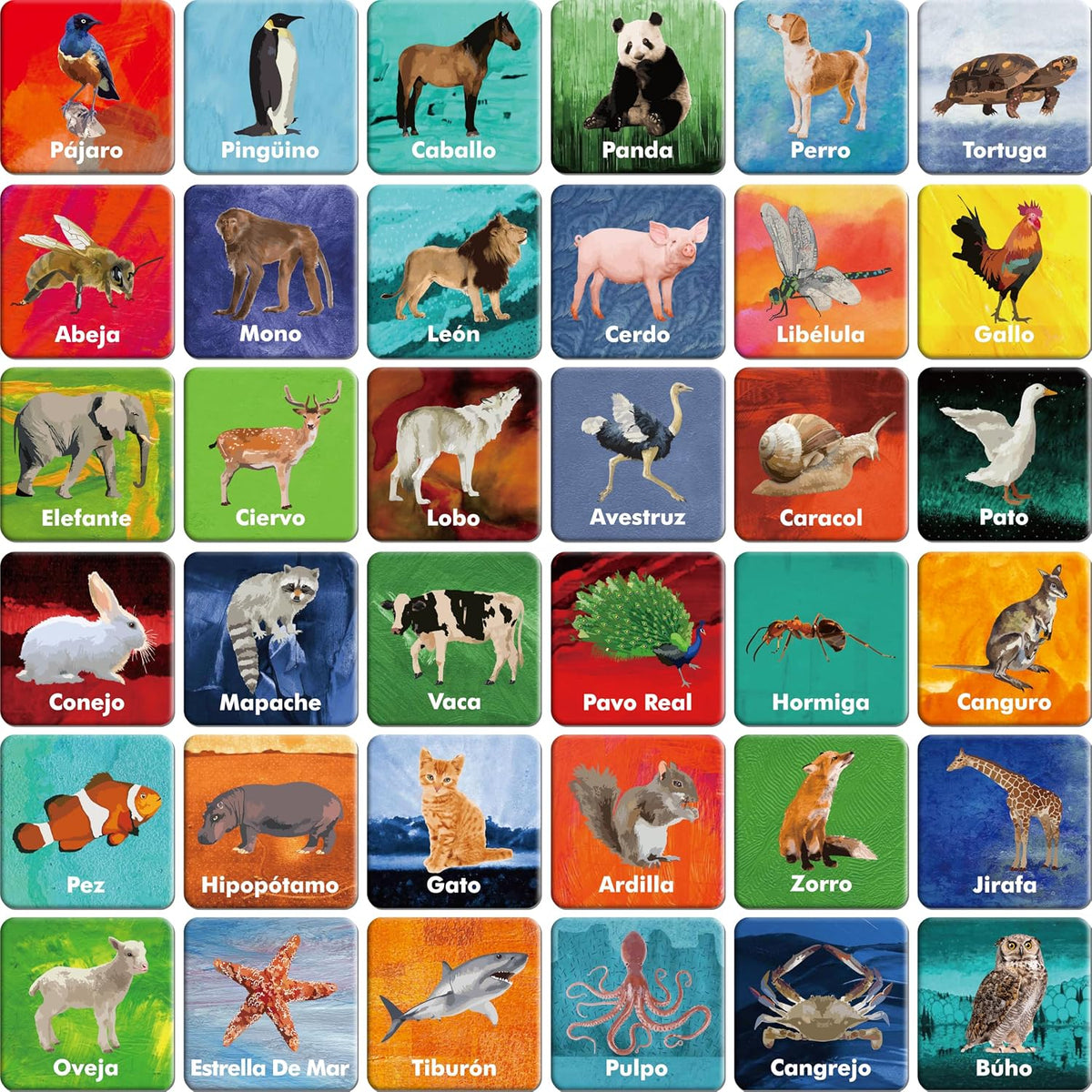 Hebayy 72 PCS Memory Matching Game - Real Animals-B (Spanish version)