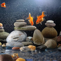 Large River Rocks for Landscaping 20lbs, 2-3 Inch Big Black Pebbles, Hand-Picked Premium Stones for Garden Design, Fish Tank, Flower Pots, Pathways and Backyard