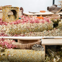 Niteangel Creative & Composable Hamster Tunnel: Edible Water Hyacinth - Burrow - image 2
