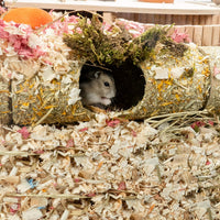 Niteangel Creative & Composable Hamster Tunnel: Edible Water Hyacinth - Tunnel - image 4