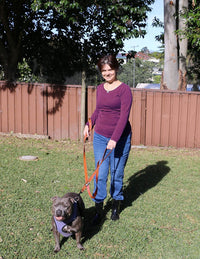 Dog Leash 6ft Long, Traffic Padded Two Handle, Heavy Duty - 6FT / Orange - image 4