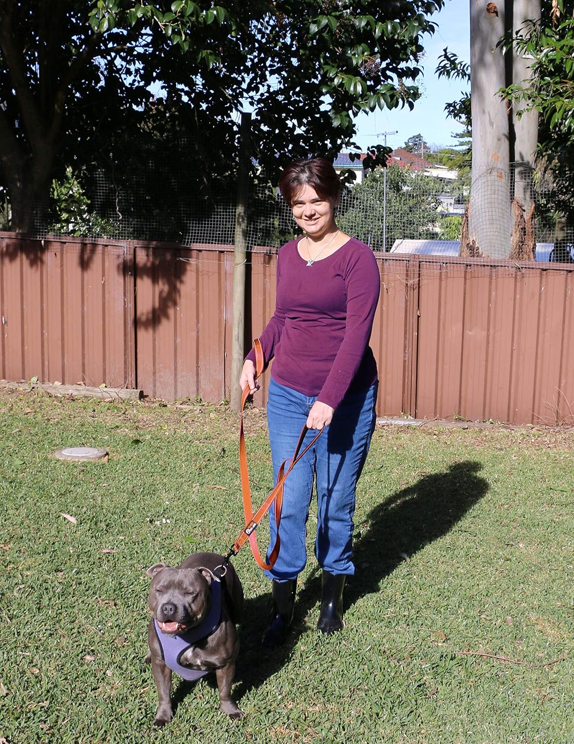 Dog Leash 6ft Long, Traffic Padded Two Handle, Heavy Duty - 6FT / Orange - image 4