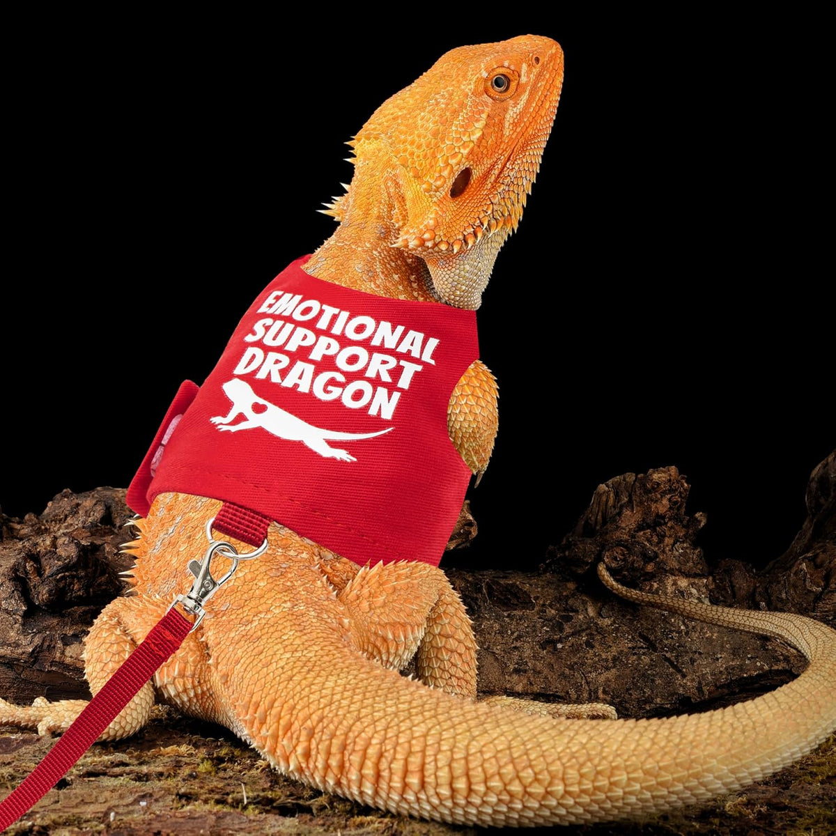 Bearded Dragon Harness and Leash Set, Escape Proof Reptile Vest – Essentials for Reptiles And Amphibians - Red - image 3