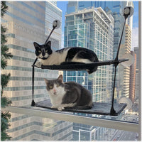 K&H Cat Window Perch, EZ Mount Double Stack Kitty Sill For Large Cats, Gray – Essentials for Cats - 23 X 12 Inches / Double Stack