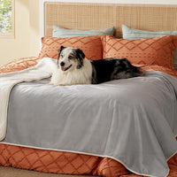 Bedsure Waterproof Dog Blankets for Small Dogs Soft Cat Blanket Warm - Twin(60x80") / Light Grey