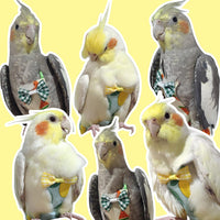 VANFAVORI Bird Diaper Flight Suit with 80-inch Leash, M Size - Denim - image 4
