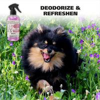 Wahl USA Pet Deodorant Spray for Dogs - Cornflower Aloe - image 2