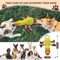 Tug of War Dog Toy, Squeaky Dog Toys Interactive Duck Puppy Toys – Essentials for Dogs - Yellow Duck - image 2