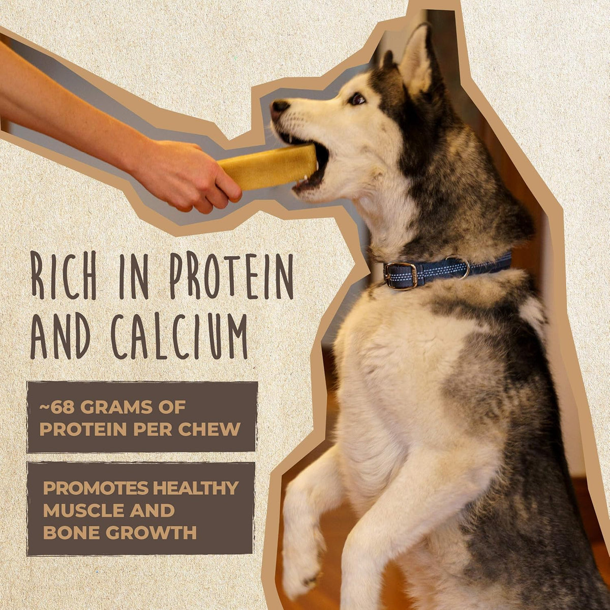 Mighty Paw Yak Cheese Chews for Dogs, All-Natural Himalayan - Large - 12 Pack (Best Value) - image 3