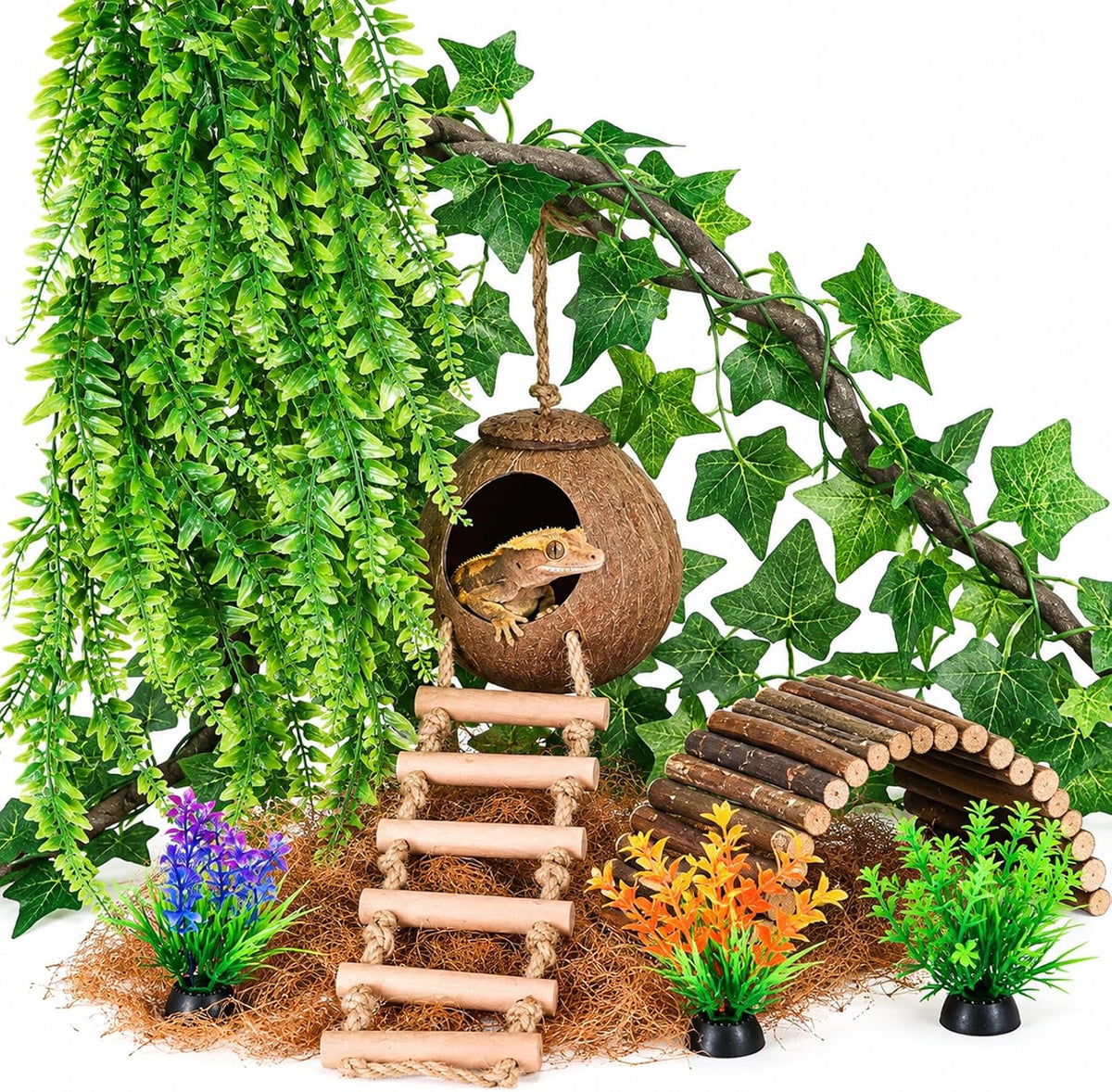HERCOCCI Crested Gecko Tank Accessories