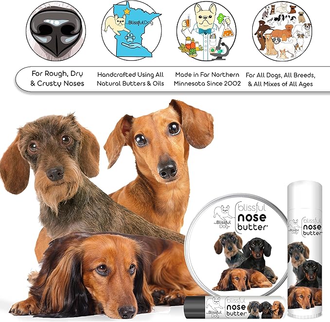 The Blissful Dog Daschund Nose Butter for Dry, Cracked Skin, Lick-Safe Dog Nose Balm with Moisturizing Shea Butter, Almond, Olive, and Essential Oils, Pet Supplies, Uncented, 0.50 oz.