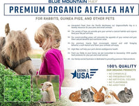 Blue Mountain Hay High-Altitude Hay - Organic Alfalfa, 25lb - High Protein, Fiber & Mineral-Rich - Soft, Leafy, High Leaf Retention - Ideal for Goats, Rabbits, Guinea Pigs & Other Small Animals