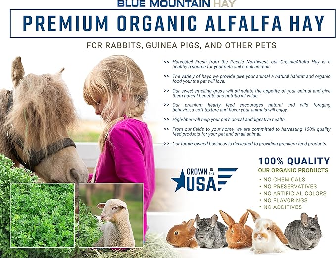 Blue Mountain Hay High-Altitude Hay - Organic Alfalfa, 25lb - High Protein, Fiber & Mineral-Rich - Soft, Leafy, High Leaf Retention - Ideal for Goats, Rabbits, Guinea Pigs & Other Small Animals