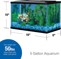Tetra 5.5 Gallon Glass Aquarium, Rectangular Fish Tank – Essentials for Fish - 5.5 gallons - image 2