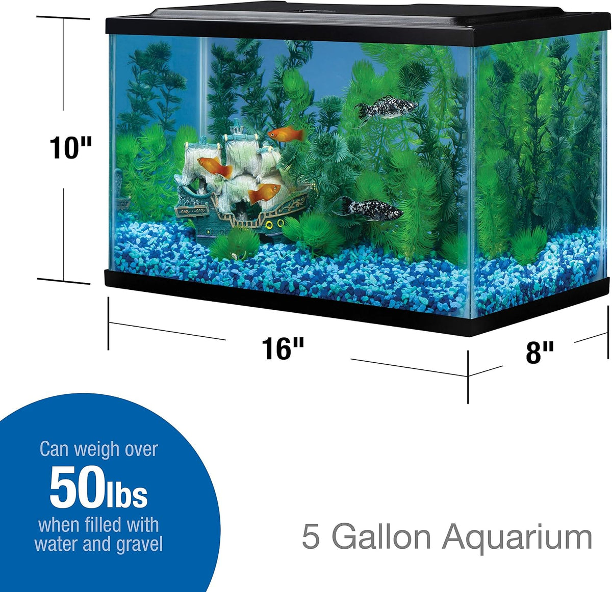 Tetra 5.5 Gallon Glass Aquarium, Rectangular Fish Tank – Essentials for Fish - 5.5 gallons - image 2