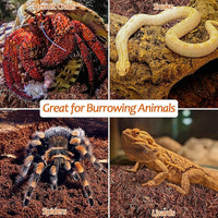Riare 2 Pack Natural Coconut Fiber Substrate for Reptile- Premium Compressed Coconut Husk Terrarium Bedding for Reptile, Tortoise, Frogs, Snakes Hermit Crabs, Burrowing Animals