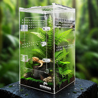 MYGIIKAKA Jumping Spider Enclosure Accessories - 6x6x12 inch