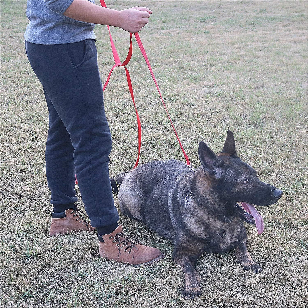 Dog/Puppy Obedience Recall Training Agility Lead, Great for Play - Pink / 20 Feet - image 4
