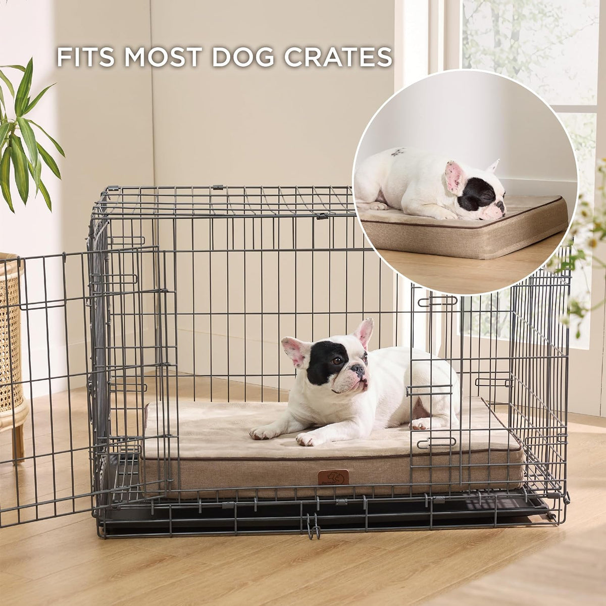 Bedsure Memory Foam Dog Beds Large Sized Dog - 29"L x 18"W x 3"Th / Khaki - image 2