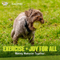 Gnawsome Dog Toys, 2.5” Spiky Squeaker Ball - 2.5'' / Small 2.5" Ball - image 3