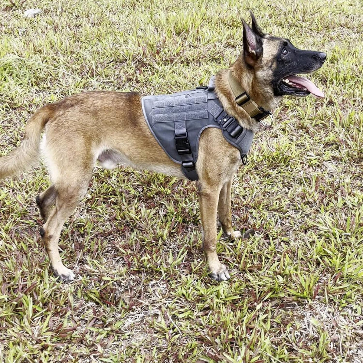 Tactical Dog Harness for Large Dogs, Reflective No Pull Dog Vest - X-Large (Pack of 1) / Grey - image 2