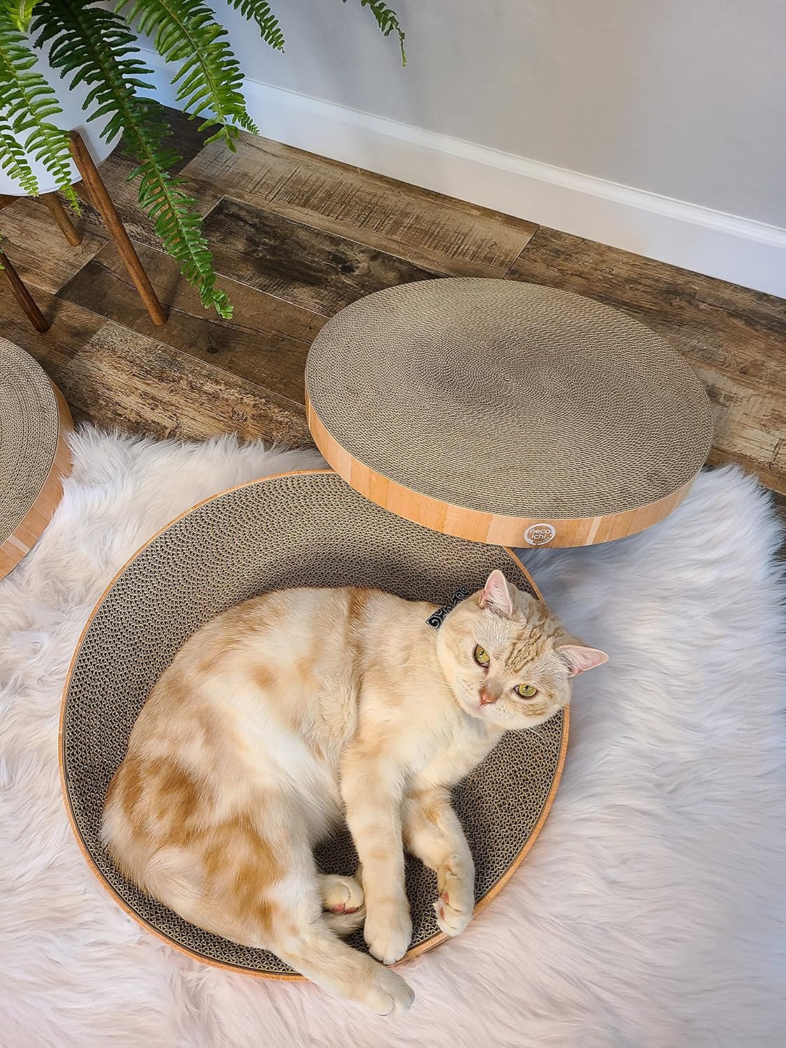 Necoichi Cat Scratcher Bowl Replacement for Indoor Cats - Regular / Oak - image 3