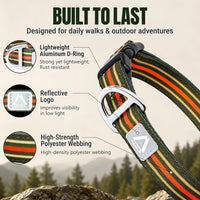 Medium Dog Collar, Neck 12"-20" - Medium (Neck 12''–20'') / Green Stripe - image 3
