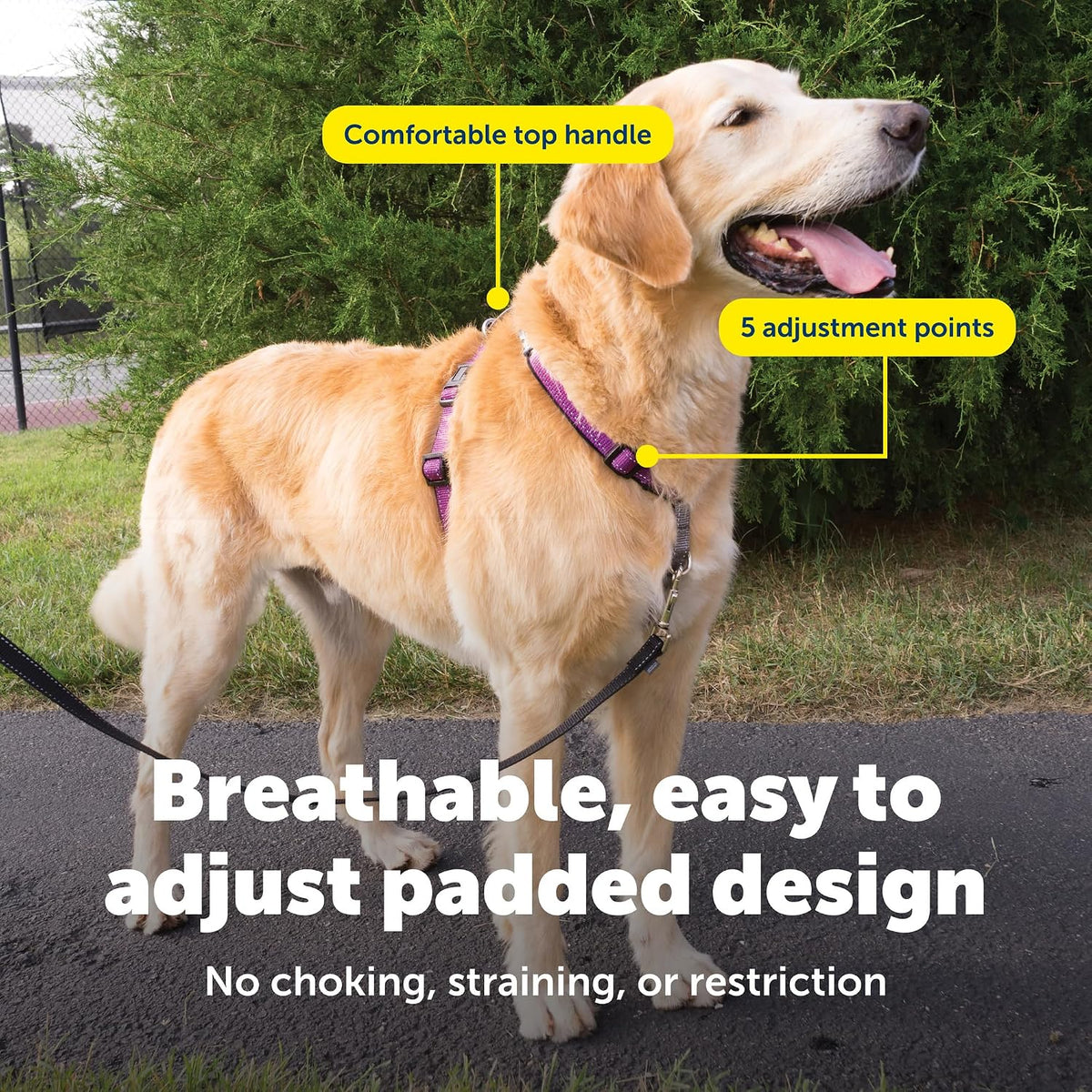 PetSafe 3 in 1 No-Pull Dog Harness, Walk, Train or Travel - Plum / Large (Pack of 1) - image 4