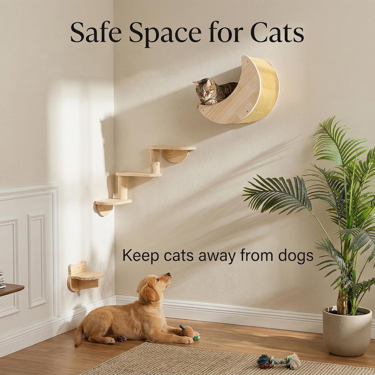 Cat Wall Shelves Set, Solid Wood Moon Bed - moon bed with 3-level stairs - image 4