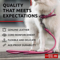 WAUDOG Rolled Leather Dog Leash 4Ft * 0.3 in for Small Medium - Pink / 4Ft * 0.3 in - image 3