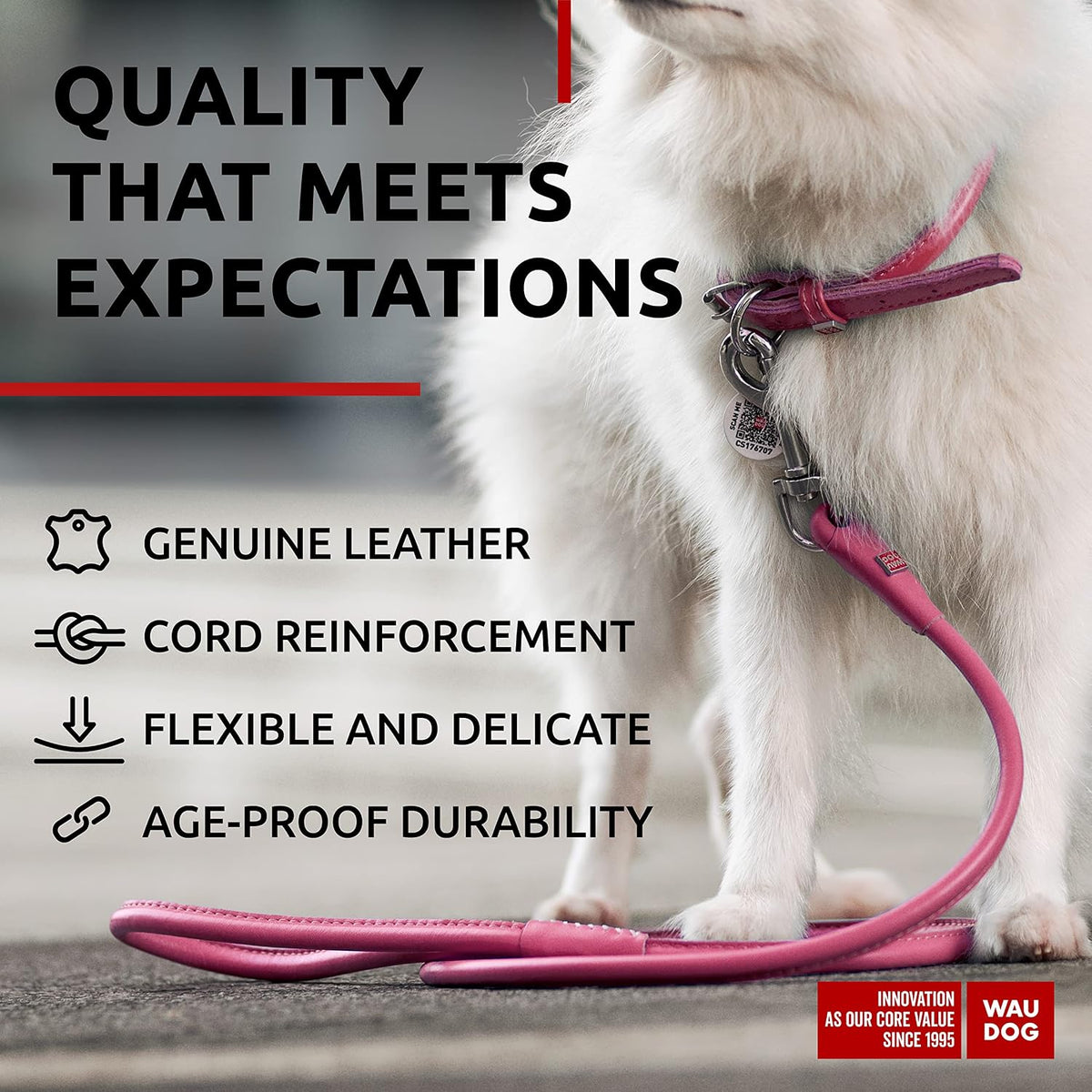 WAUDOG Rolled Leather Dog Leash 4Ft * 0.3 in for Small Medium - Pink / 4Ft * 0.3 in - image 3